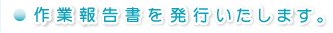 作業報告書を発行致します。